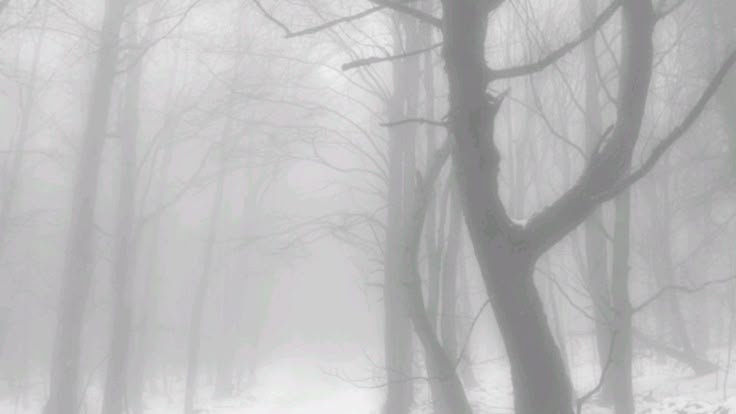 Profile background