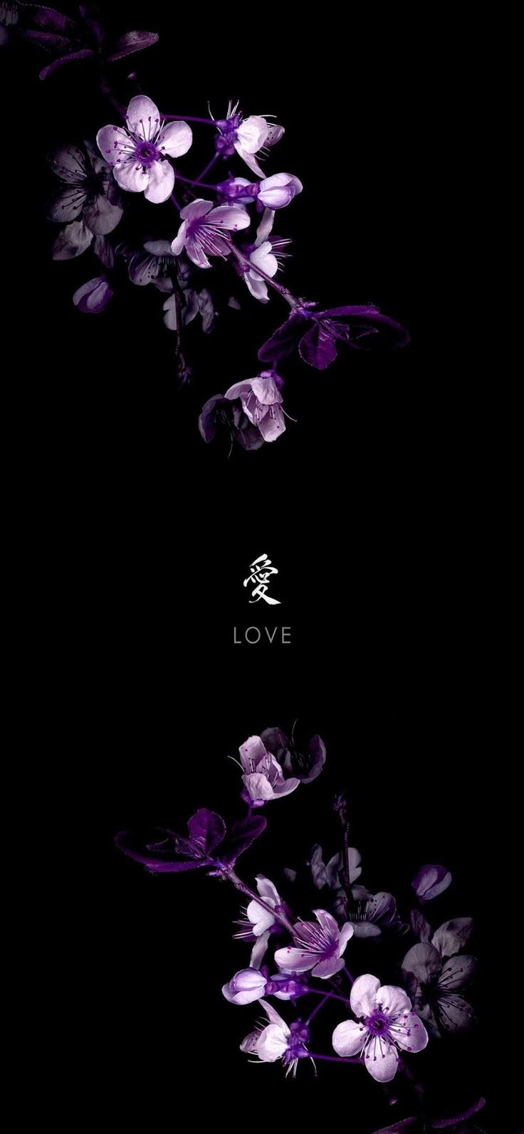 Profile background