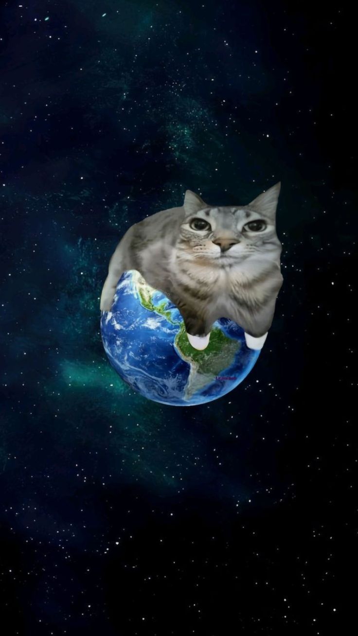 Profile background