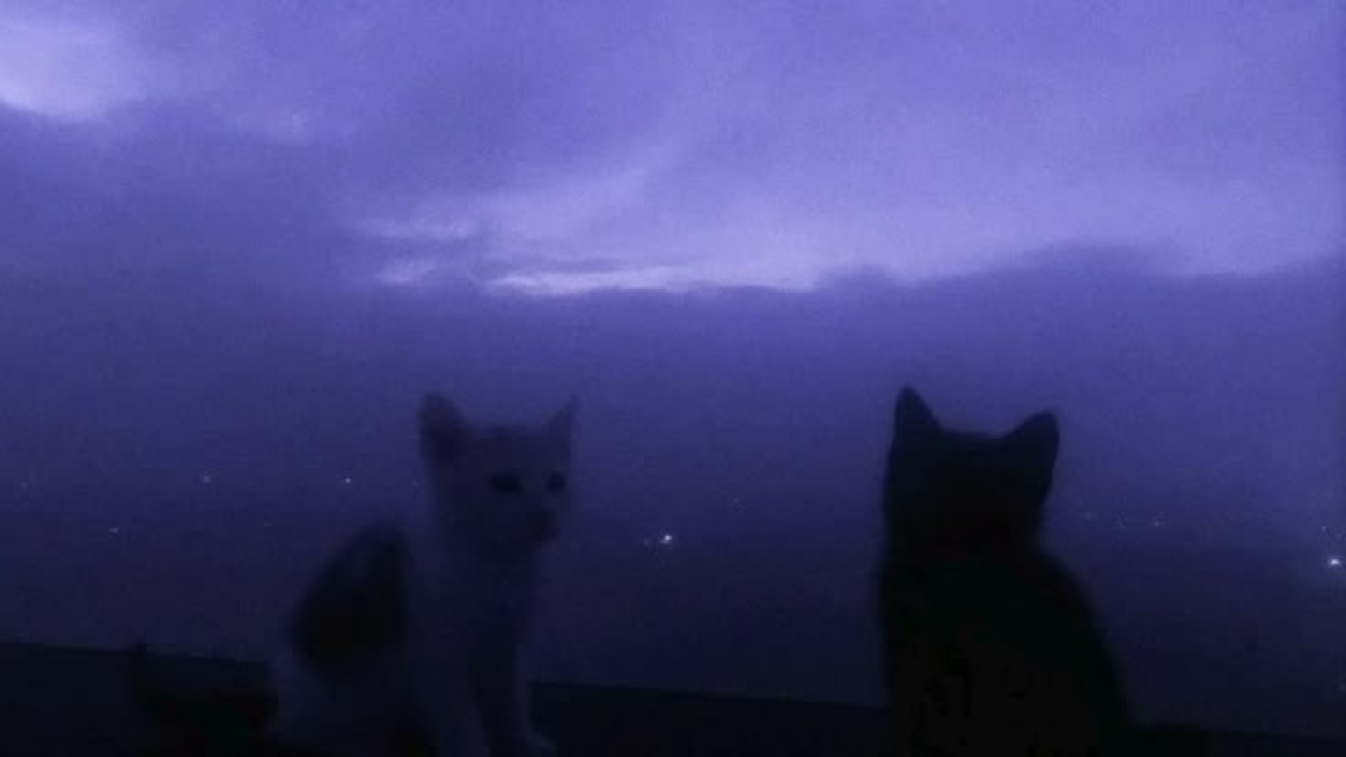 Profile background
