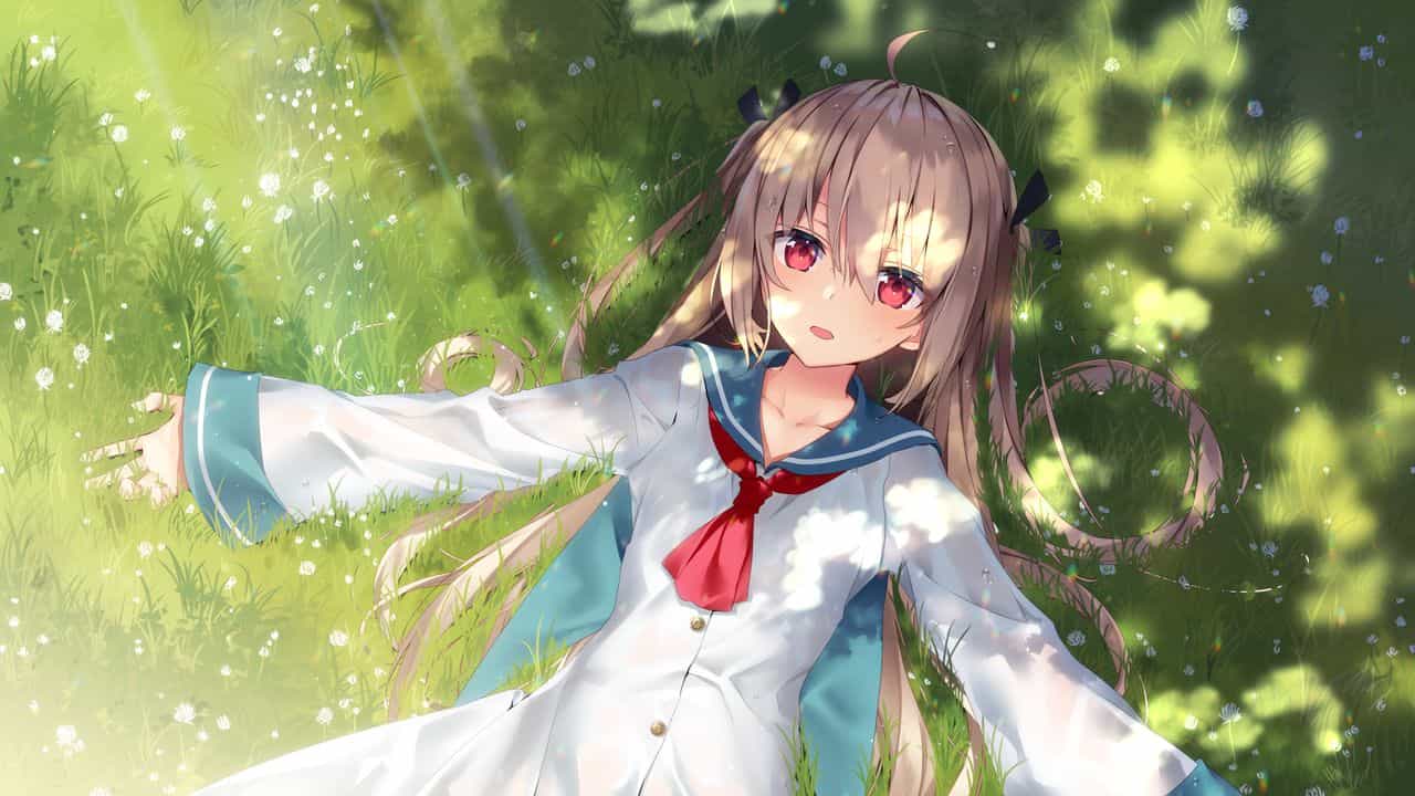 Profile background