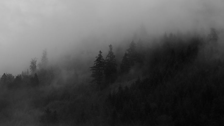 Profile background