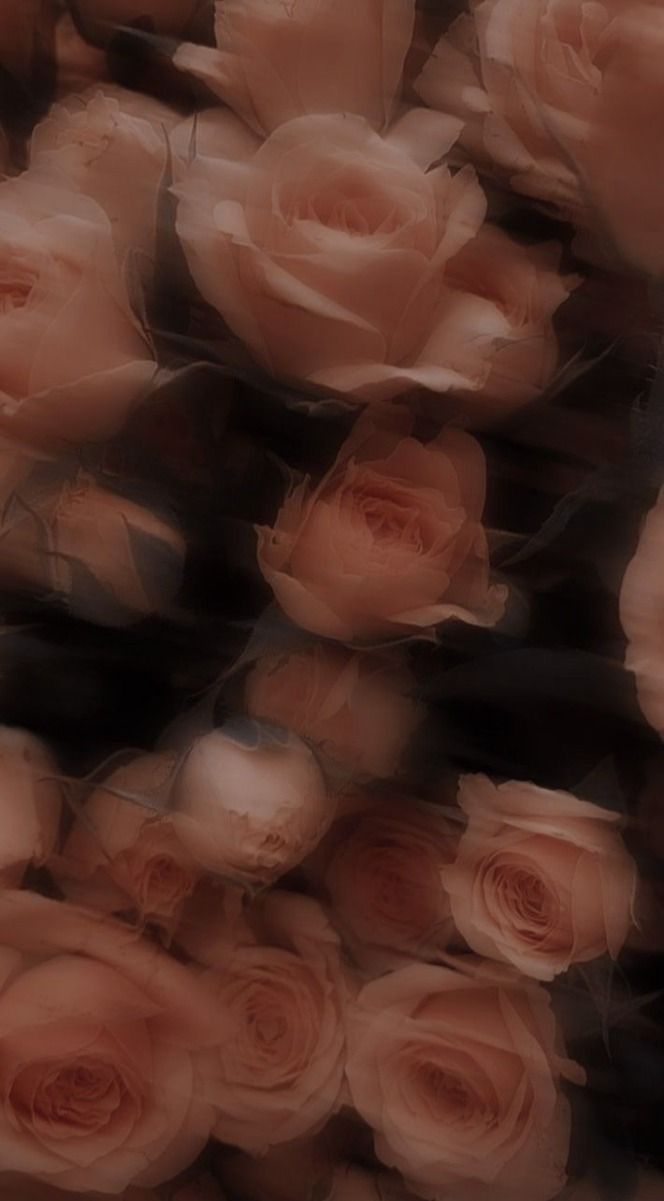 Profile background