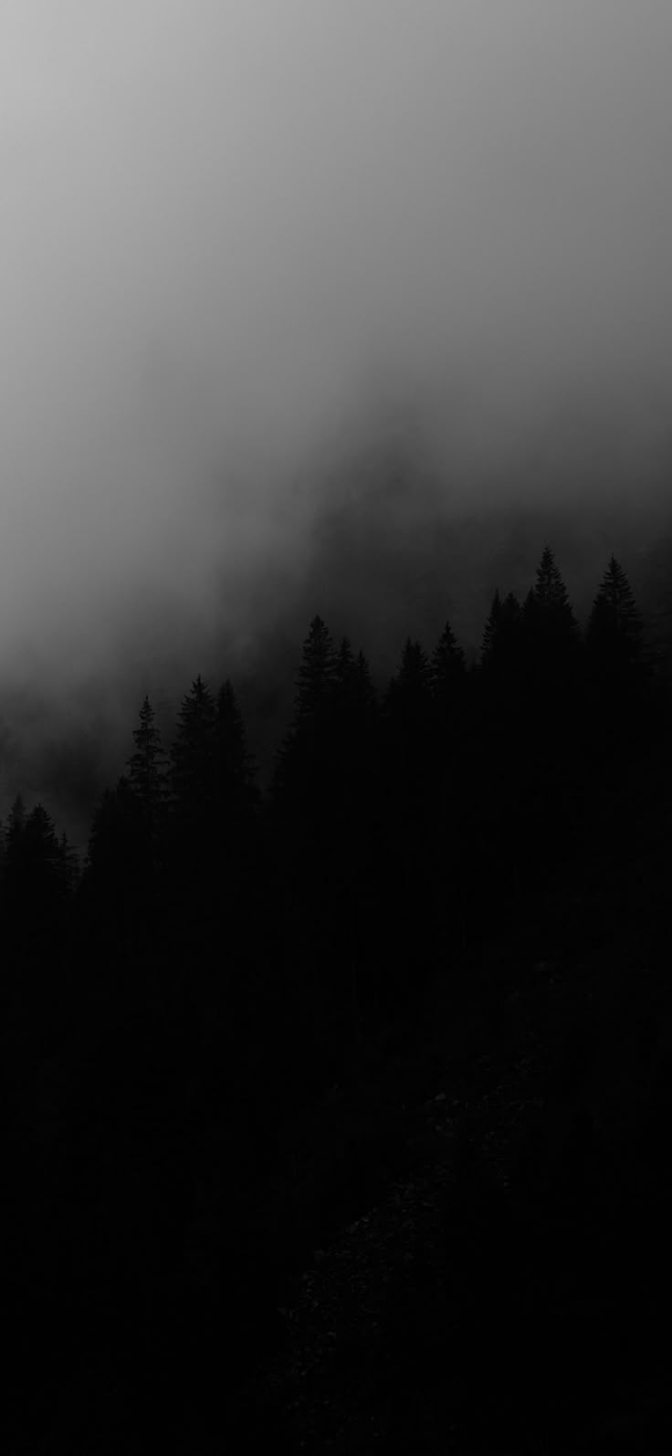 Profile background