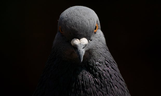 Profile background