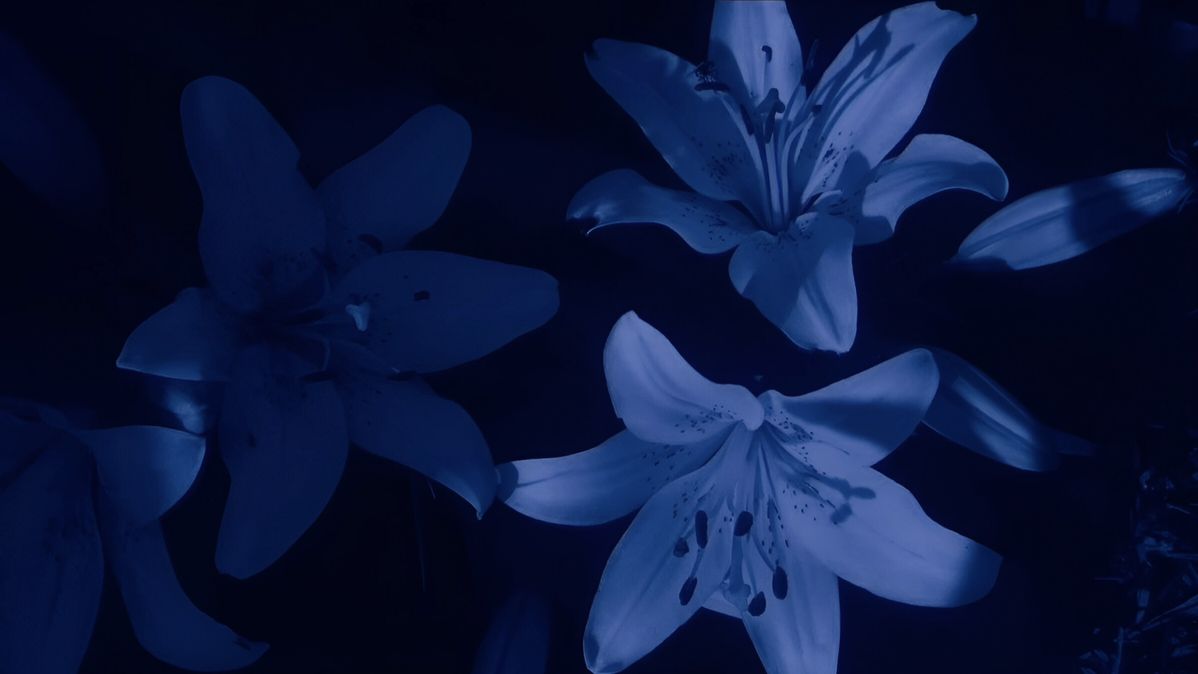 Profile background