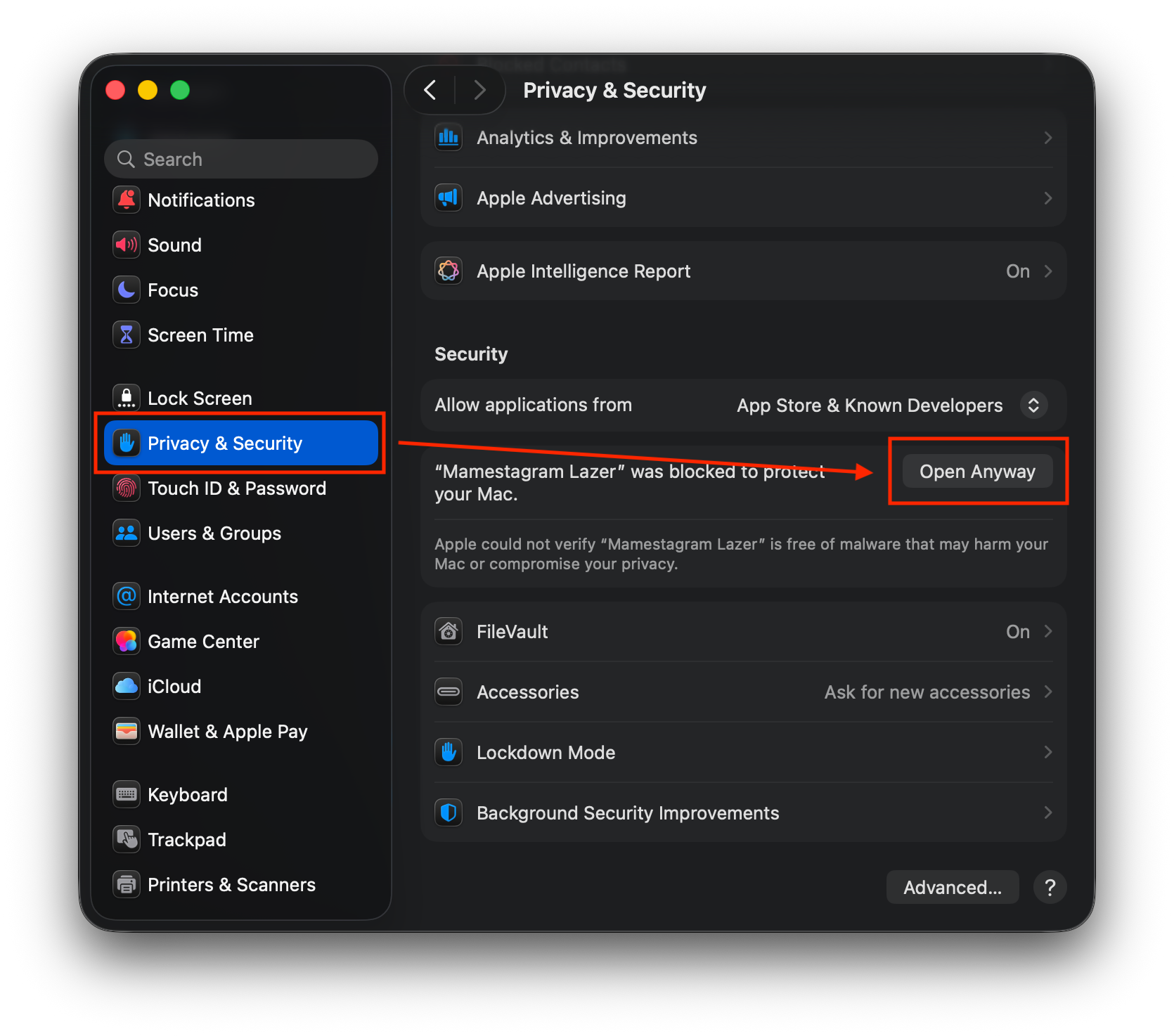 Privacy & Security settings showing the Open Anyway button for Mamestagram Lazer